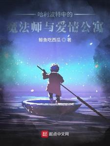 哈利波特中的魔法师与爱情公寓